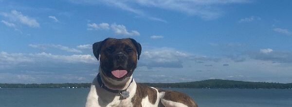 Goofiest big-headed boy