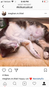 Adopting Cali was the best thing I ever did for my mental health