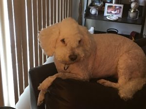 Storm's new haircut