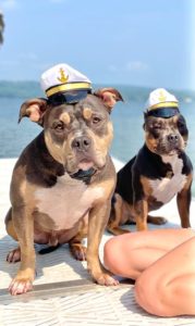 Benji sails away with his forever family