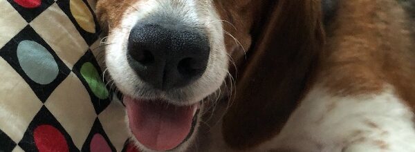 We LOVE Lucky