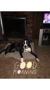 Family of 7 become family of 8 after bringing Elese home!