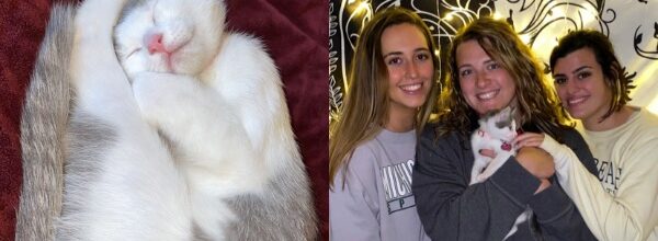 Piper: Our Best Friend