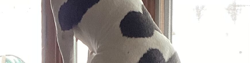 60 pounds of sweetness