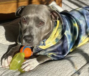 Ethel - Worth the Wait