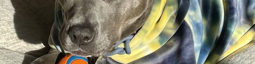 Ethel – Worth the Wait