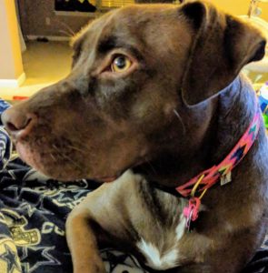 Our Little Lady