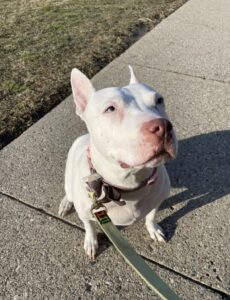 Our Princess has departed ❤️