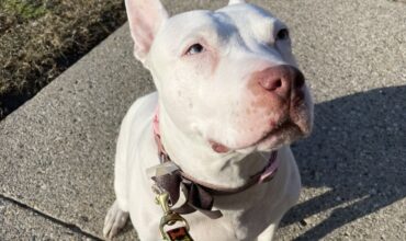 Our Princess has departed ❤️