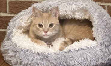 I was looking for Julien, but found Ricky instead