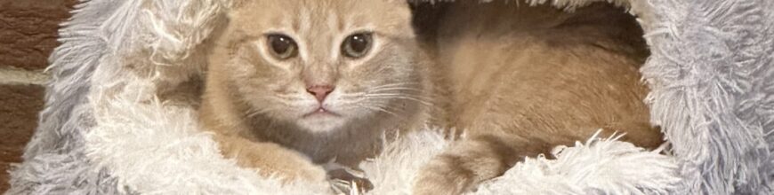 I was looking for Julien, but found Ricky instead