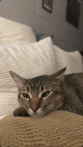 Silas finds a happy home!