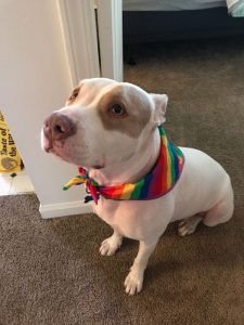 Lottie finds her home