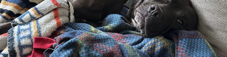 Sully is Living the Good Life!