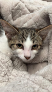 Cyclops finds his forever loving home