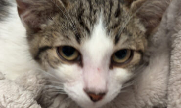 Cyclops finds his forever loving home