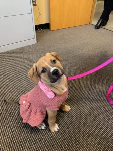 Mocha Espresso Latte goes home