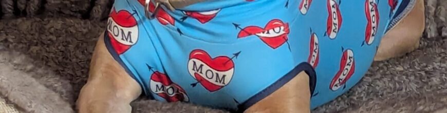 Happy Gotcha Day, Nigel!