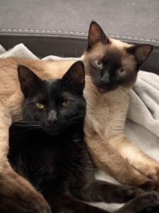 Stella & Luna - a match made in heaven