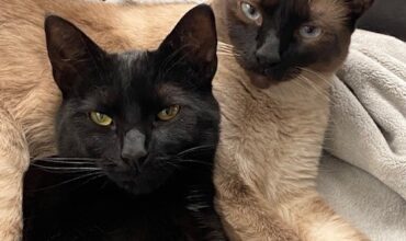 Stella & Luna – a match made in heaven