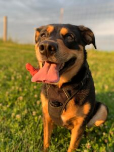 She was the silliest girl with a permanent side eye