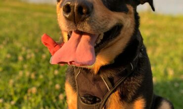 She was the silliest girl with a permanent side eye