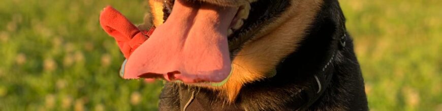 She was the silliest girl with a permanent side eye