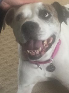 Golden Girl Rosie Living her best Life