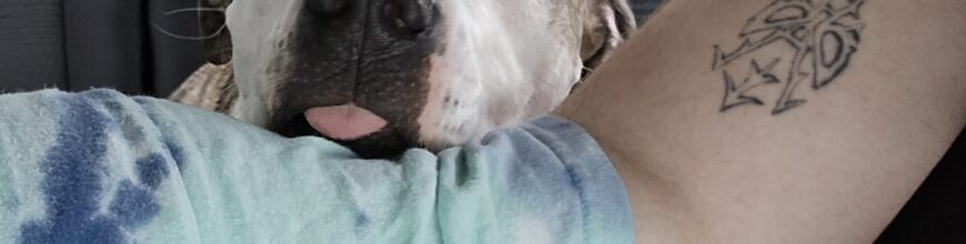 Loki finds a home with us!!!