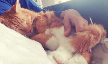 Pumpkin is where he truly belongs!
