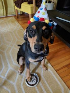 Frank's Forever Home