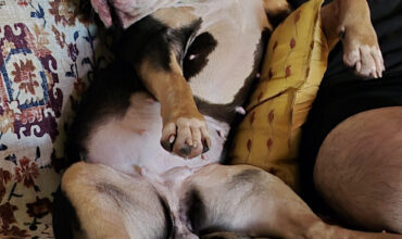 Fate brought us Star; love made her stay.